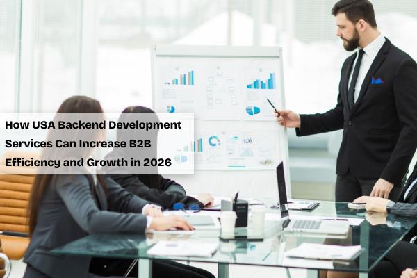 Backend development services in USA for B2B companies by Pixxelu Digital Technology